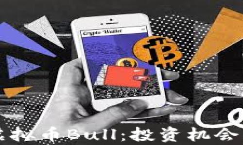 
深入了解虚拟币Bull：投资机会与风险分析