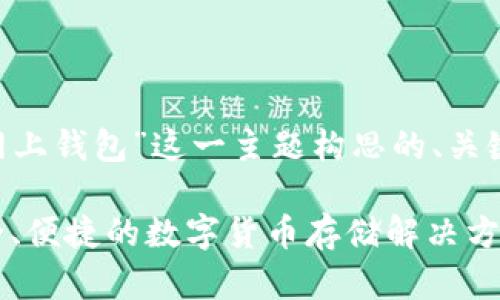 以下是围绕“比特币网上钱包”这一主题构思的、关键词、大纲及内容问题。

比特币网上钱包：安全、便捷的数字货币存储解决方案