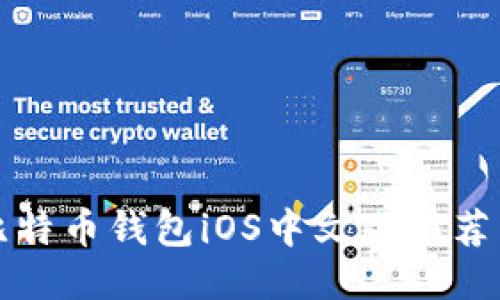 最全面的比特币钱包iOS中文版推荐与使用指南