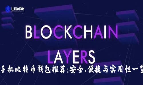 手机比特币钱包推荐：安全、便捷与实用性一览