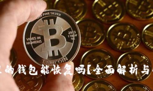 删除TP里的钱包能恢复吗？全面解析与解决方案
