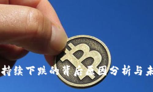虚拟币持续下跌的背后原因分析与未来展望