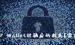 如何减少在TP Wallet被骗后的损失？实用指南与建