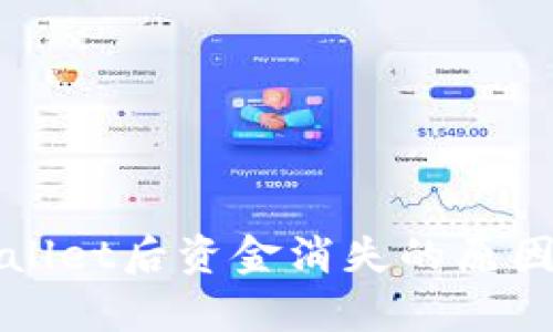 提币到tpWallet后资金消失的原因与解决方案