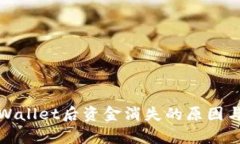 提币到tpWallet后资金消失的原因与解决方案
