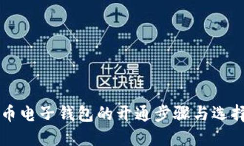 虚拟币电子钱包的开通步骤与选择指南