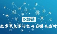使用数字钱包不还款的后果及应对策略