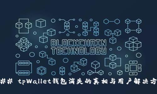 ### tpWallet钱包消失的真相与用户解决方案