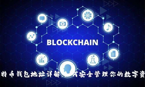 比特币钱包地址详解：如何安全管理你的数字资产