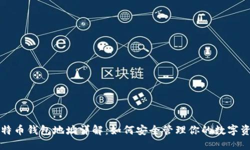 比特币钱包地址详解：如何安全管理你的数字资产