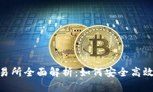 SGP虚拟币交易所全面解析：如何安全高效交易加密货币
