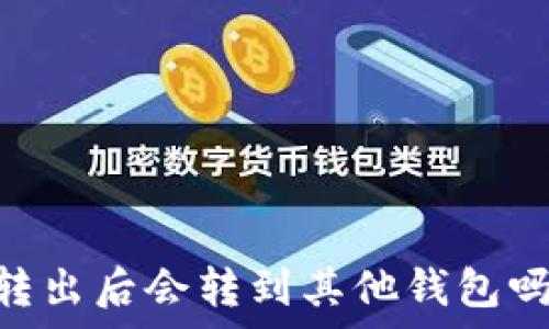  
泰达币（USDT）转出后会转到其他钱包吗？详解转账过程