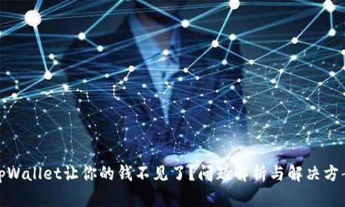 tpWallet让你的钱不见了？问题解析与解决方案