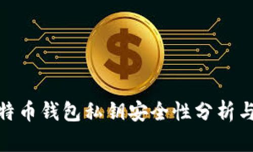 310个比特币钱包私钥安全性分析与管理指南