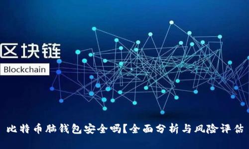 比特币脑钱包安全吗？全面分析与风险评估