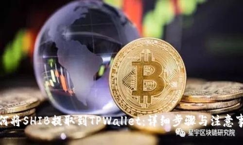 如何将SHIB提取到TPWallet：详细步骤与注意事项