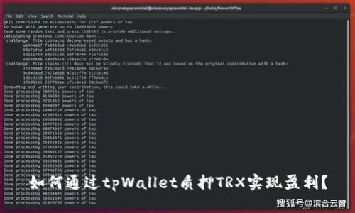 如何通过tpWallet质押TRX实现盈利？
