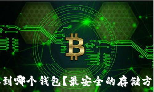   
狗狗币存到哪个钱包？最安全的存储方式大揭秘