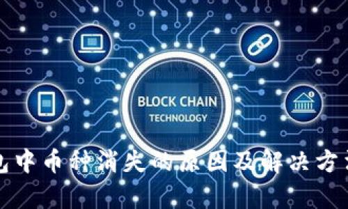 TP钱包中币种消失的原因及解决方法解析