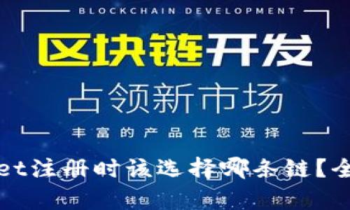 tpWallet注册时该选择哪条链？全面解读