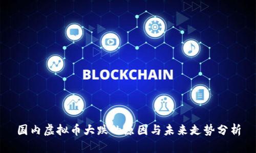 国内虚拟币大跌的原因与未来走势分析