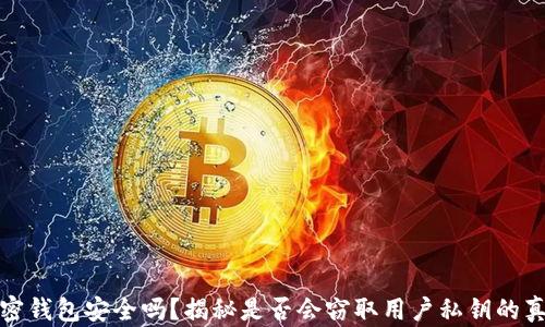 
加密钱包安全吗？揭秘是否会窃取用户私钥的真相