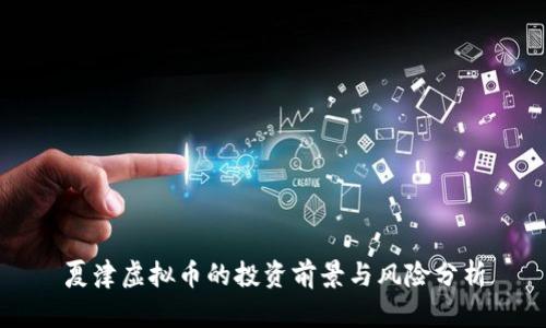 夏津虚拟币的投资前景与风险分析