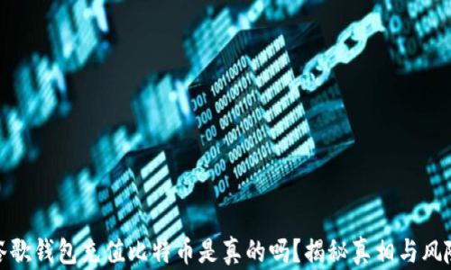 
谷歌钱包充值比特币是真的吗？揭秘真相与风险
