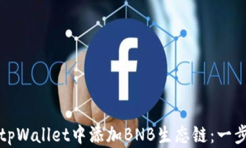 
如何在tpWallet中添加BNB生态链：一步步指南