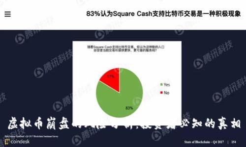 虚拟币崩盘的风险分析：投资者必知的真相