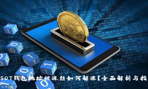 USDT钱包地址被冻结如何解冻？全面解析与指南