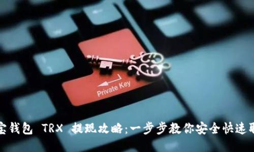 波宝钱包 TRX 提现攻略：一步步教你安全快速取款
