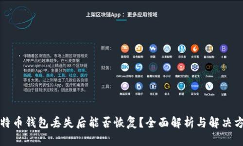 比特币钱包丢失后能否恢复？全面解析与解决方案