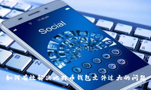 如何有效解决比特币钱包文件过大的问题