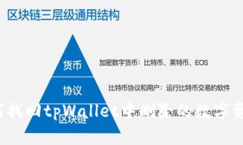 如何找回tpWallet中删除的数字资产？