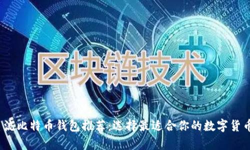 2023年主流比特币钱包推荐：选择最适合你的数字货币存储方案