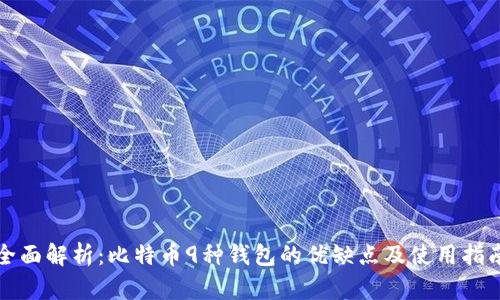 全面解析：比特币9种钱包的优缺点及使用指南