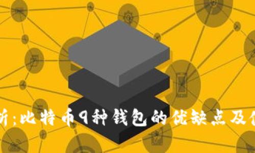 全面解析：比特币9种钱包的优缺点及使用指南