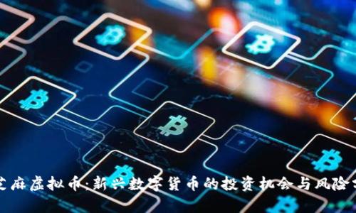小芝麻虚拟币：新兴数字货币的投资机会与风险分析