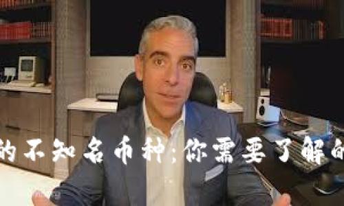虚拟钱包中的不知名币种：你需要了解的真相与风险