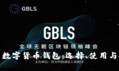 全面解析数字货币钱包：选择、使用与安全策略