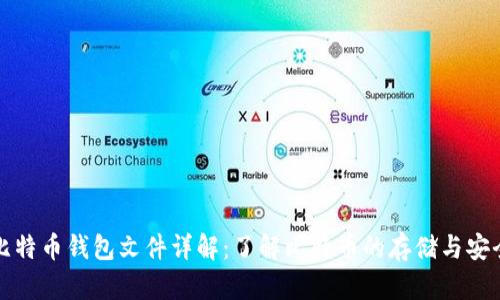 比特币钱包文件详解：了解比特币的存储与安全
