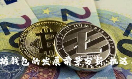  以太坊钱包的发展前景分析：机遇与挑战