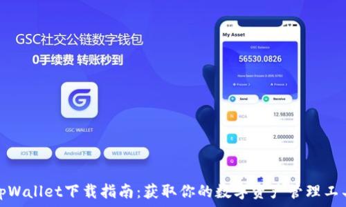   
tpWallet下载指南：获取你的数字资产管理工具