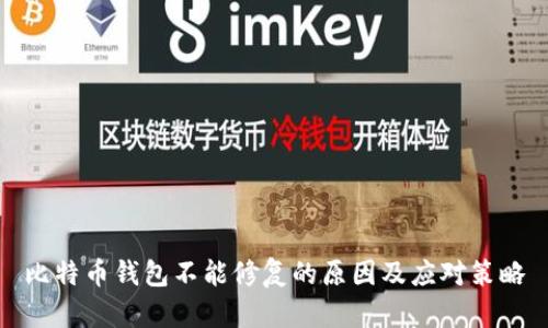 比特币钱包不能修复的原因及应对策略