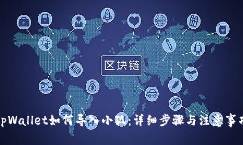 tpWallet如何导入小狐：详细步骤与注意事项
