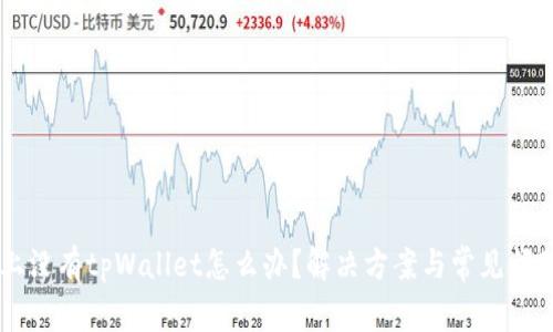 手机上没有tpWallet怎么办？解决方案与常见问题解答