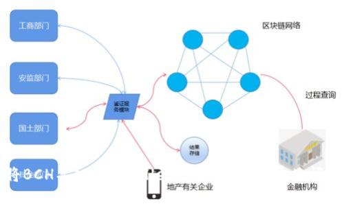 如何将BCH导入TP Wallet：详细步骤与常见问题解答