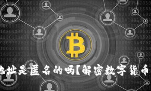 USDT钱包地址是匿名的吗？解密数字货币的隐私问题