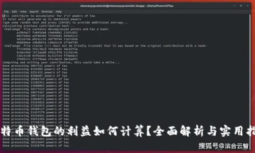 比特币钱包的利益如何计算？全面解析与实用指南